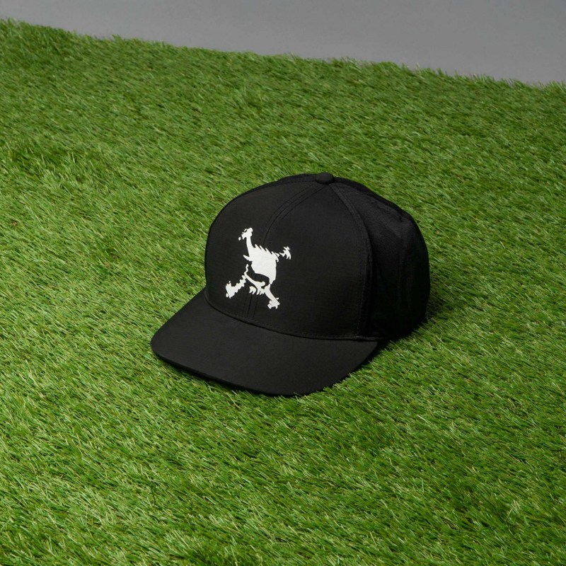 494571204_3797563887053749_6153913661319288703_n