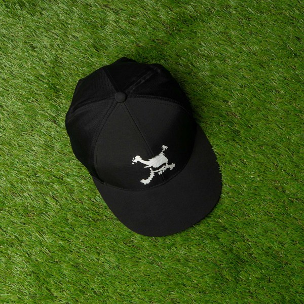 494574575_488579800982535_7514831641661497405_n