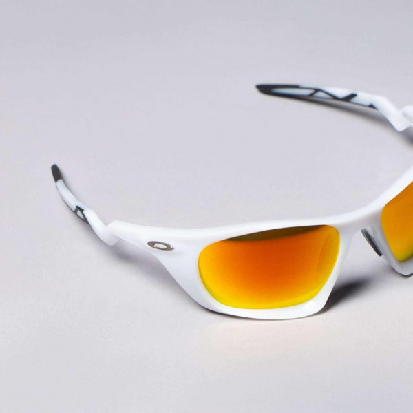 528995713_1337081321363571_8696677969487404704_n