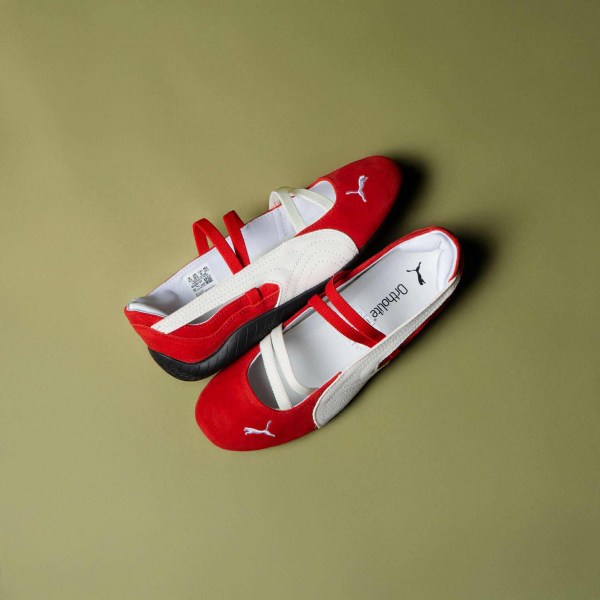 535362617_1021781933221060_356201975140846712_n