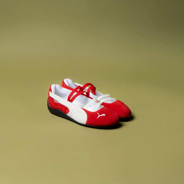 535784486_1555545645428470_8603056987333716741_n