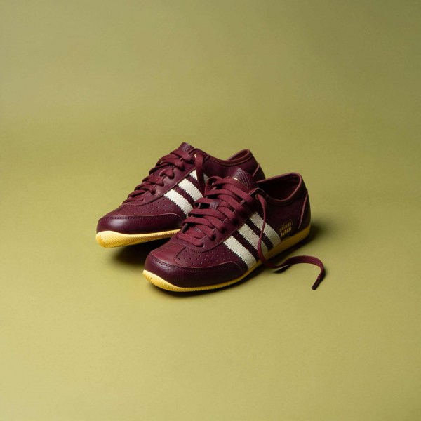 540959879_1715315725788687_7127997641147122068_n