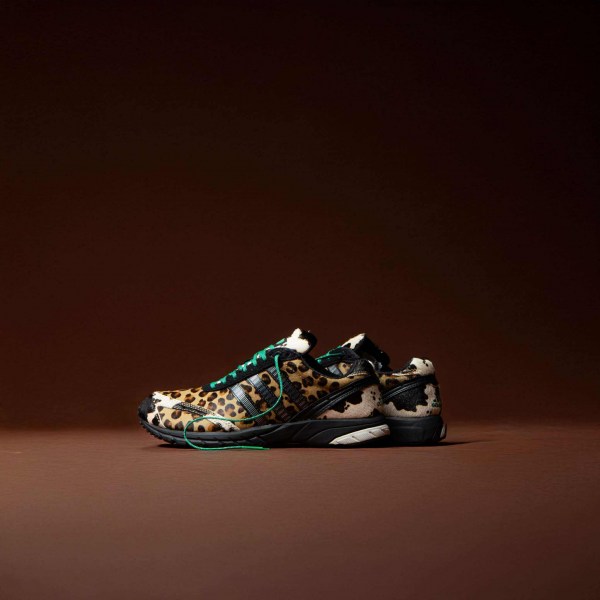 541594517_3896651900478614_7485642933825030108_n