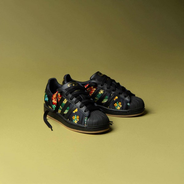 541774856_4268719406692139_1896270414789302042_n