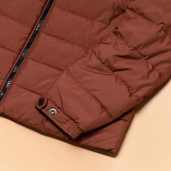 542957973_1206892337946612_6352346980090386071_n