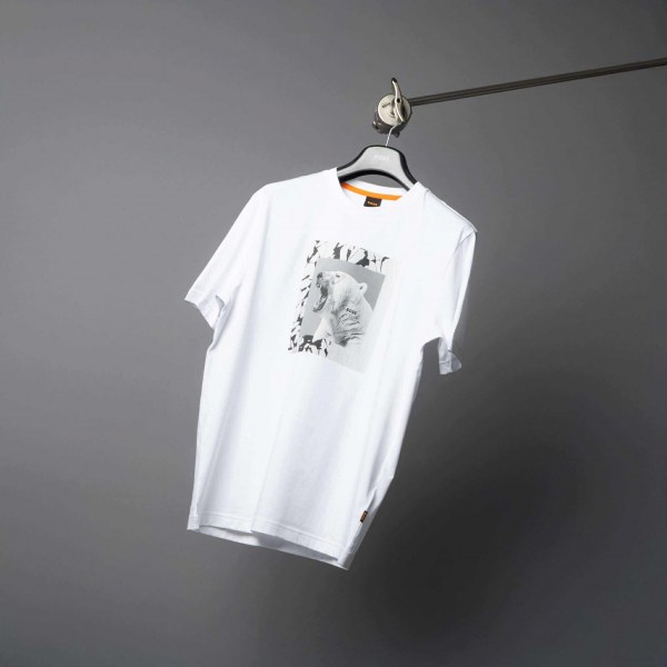 551884843_2261331501036791_1584850852784625685_n