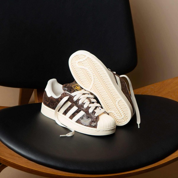 552152238_1589104938566315_41920364050540825_n