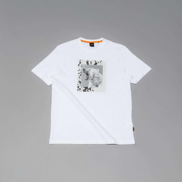 552518298_792245406505031_4354918813207107863_n