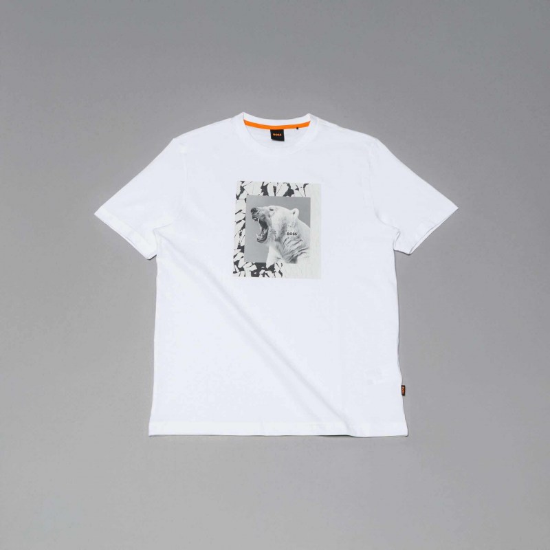 552518298_792245406505031_4354918813207107863_n