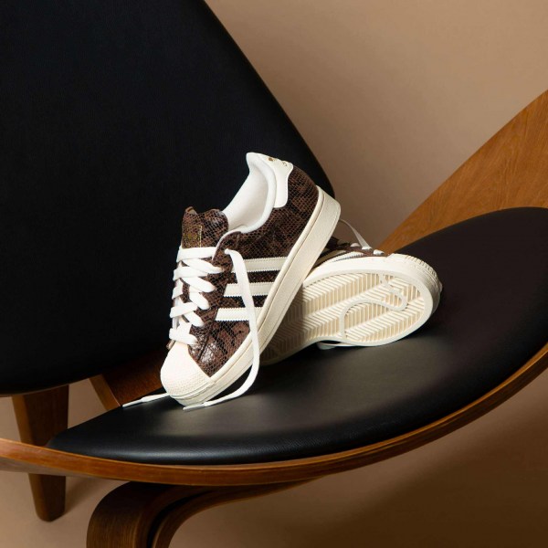 552624739_1437048754064744_7964213016213198632_n