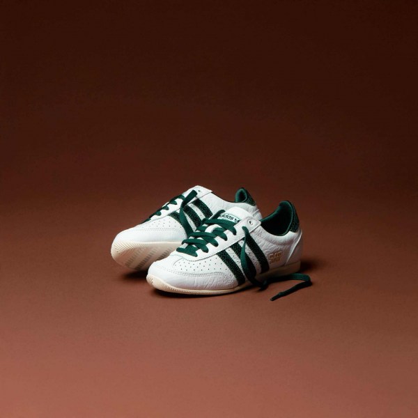 553081694_4267722830123286_6471296904255201805_n