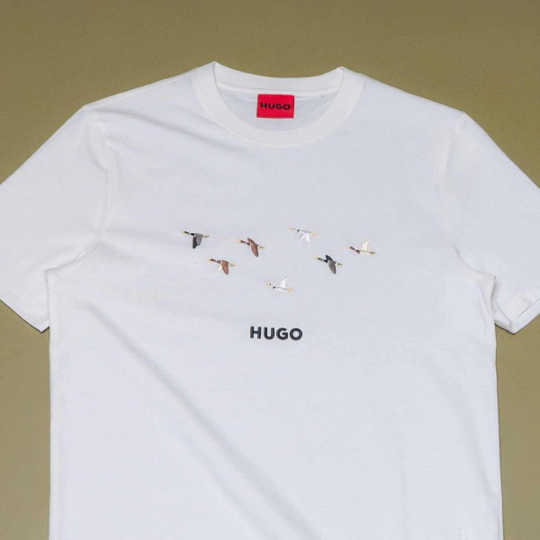 553099744_809476961621891_4822557061493950153_n