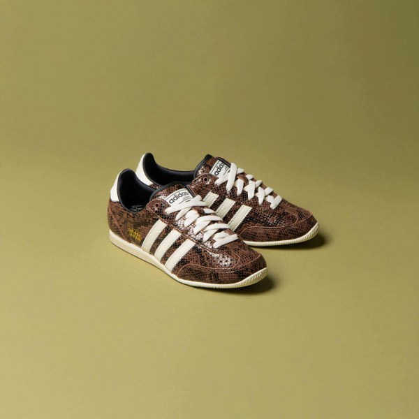 553102019_4280522512168939_8162672433655033471_n