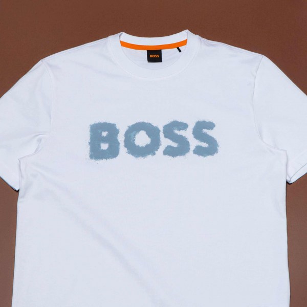 553252691_1305585851291820_4330516862664918644_n