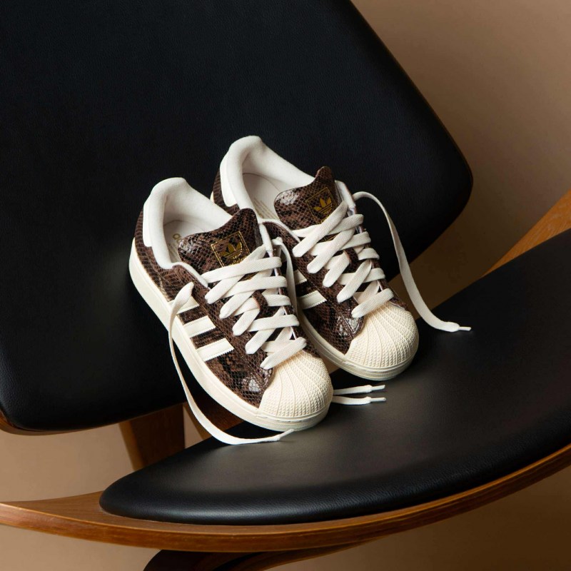 553283282_1124727893135448_7706192610605178901_n