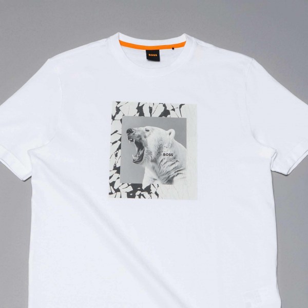 553324218_1162472855942199_381305447759902387_n