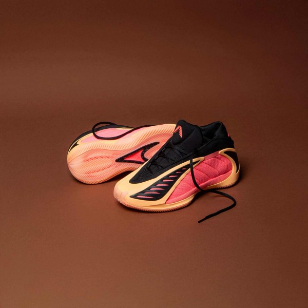 553738094_1193785989283274_2531567697424860691_n