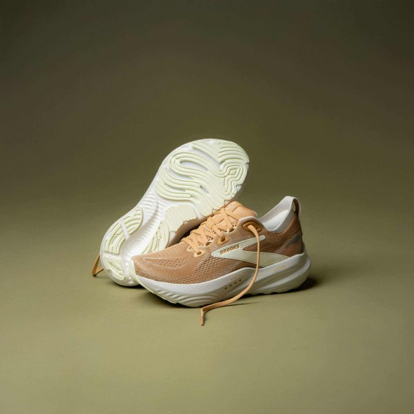 566591247_1446993216365880_6646887591432814515_n