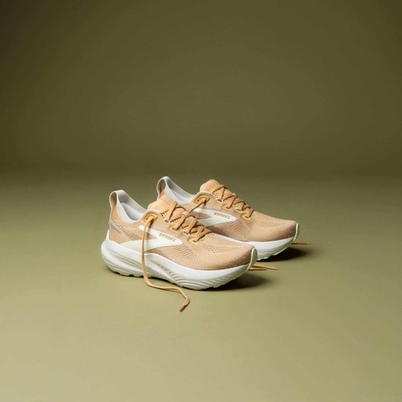 569170546_1511244446756341_6766858193302558652_n