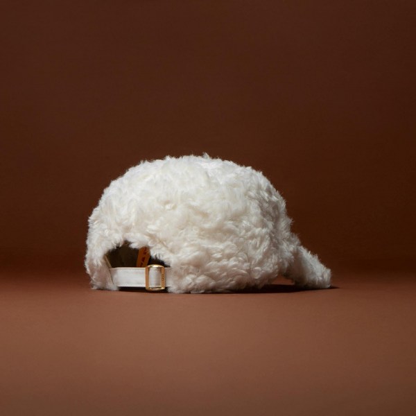 No hay imagen establecida 