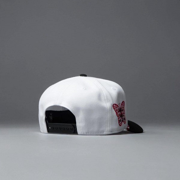 No hay imagen establecida 