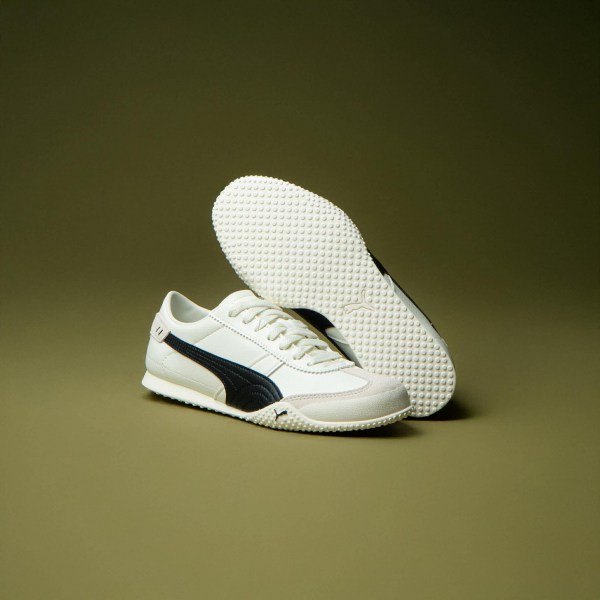 590279775_1895741058021052_5370556748260867323_n