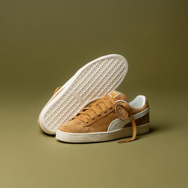 591459863_2615870632130577_6207821324187131780_n