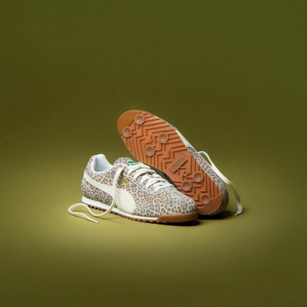 591569061_1597468131685194_8483718316973319728_n