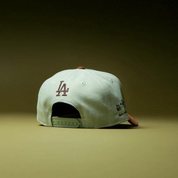 591646829_2357937444643201_8051370606612472163_n