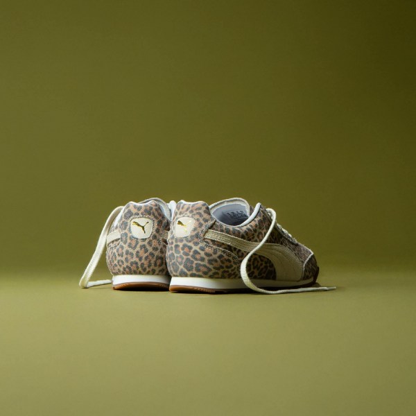 591673312_1506308723986649_2634649726404308481_n