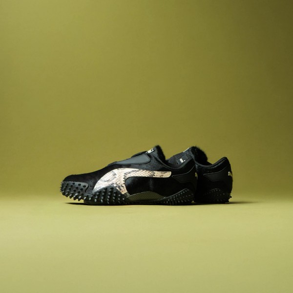 591745768_2336102033508407_1492419311263378820_n