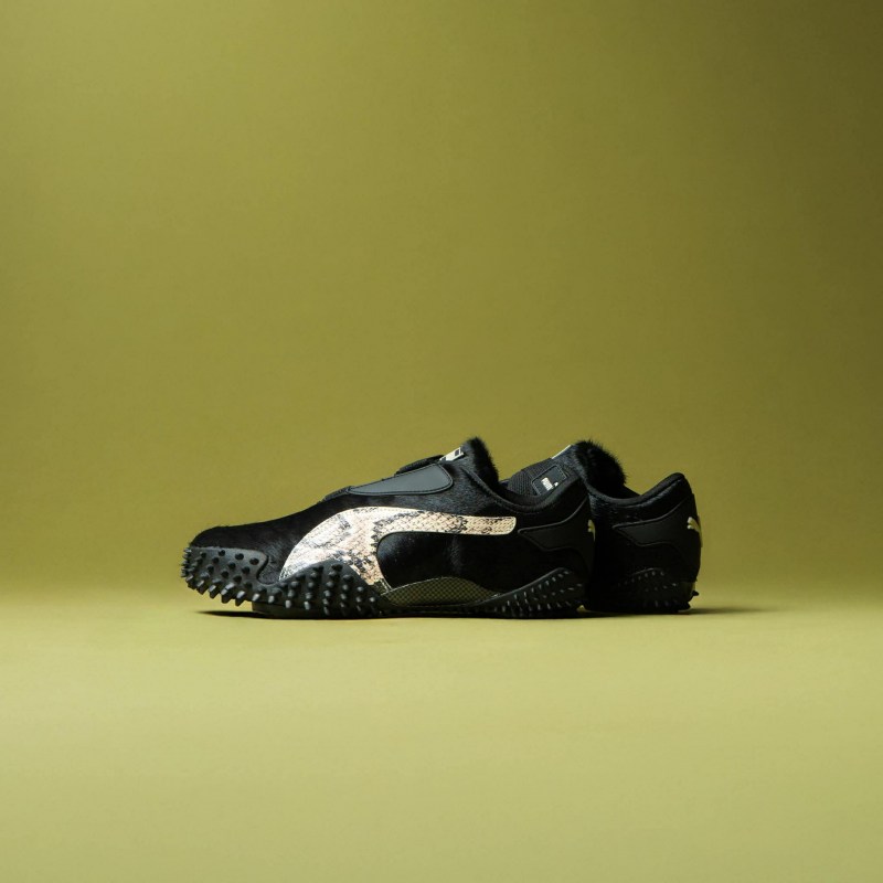 591745768_2336102033508407_1492419311263378820_n