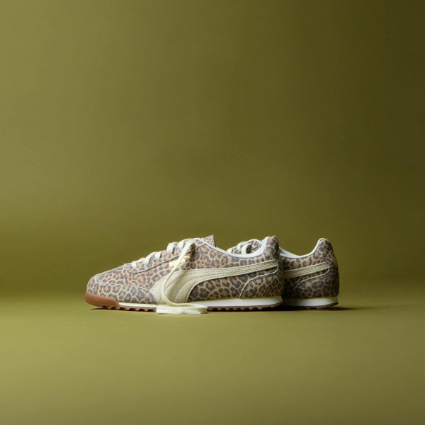 593465718_1408669800717618_425491100966721824_n