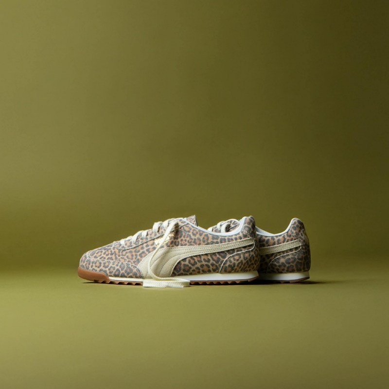 593465718_1408669800717618_425491100966721824_n