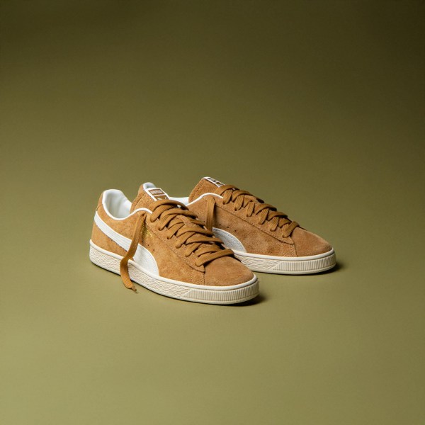 594357887_838511992253886_2130712304122162743_n