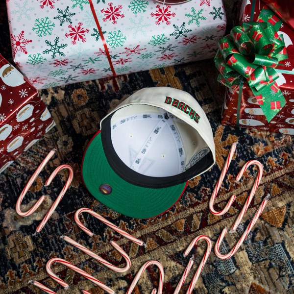 594421056_1364893621791873_6882012080812225131_n