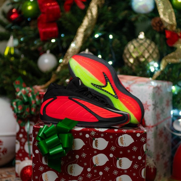 603922810_2034084194049672_1360276779058264120_n