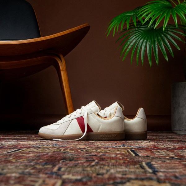 609788625_1168571558377445_7406906456677182703_n