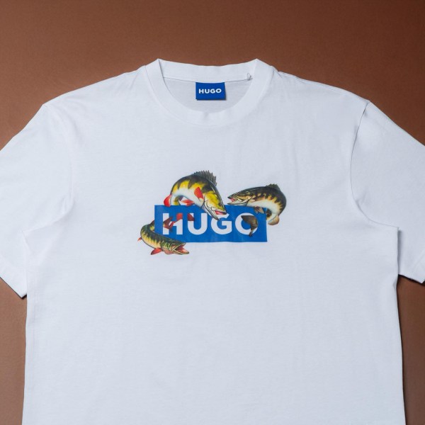 632213990_919088657159867_8280207898007880996_n