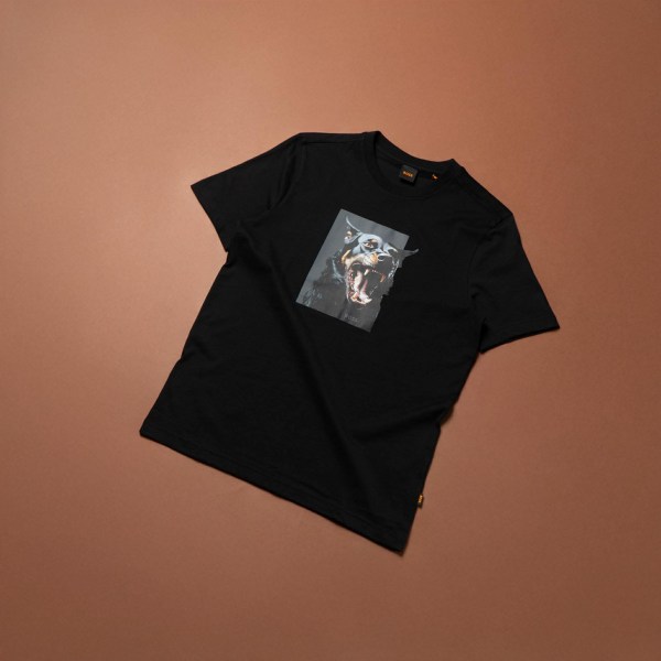 637662466_1309457484549350_5425927534670350850_n