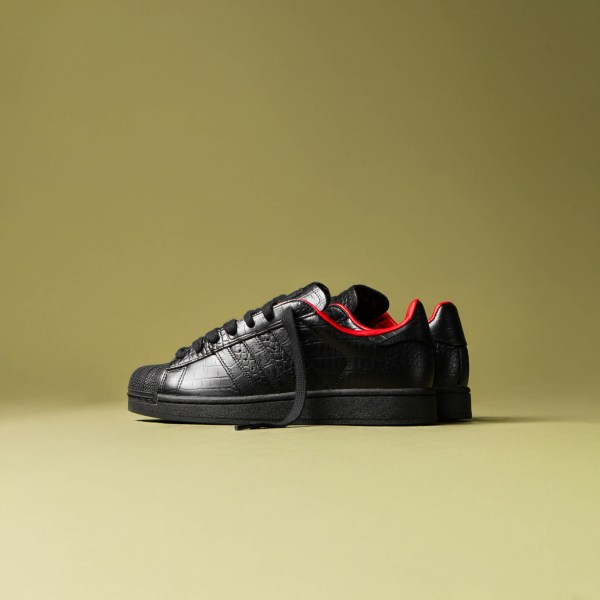 646949123_1287197229944302_7937857217377849254_n