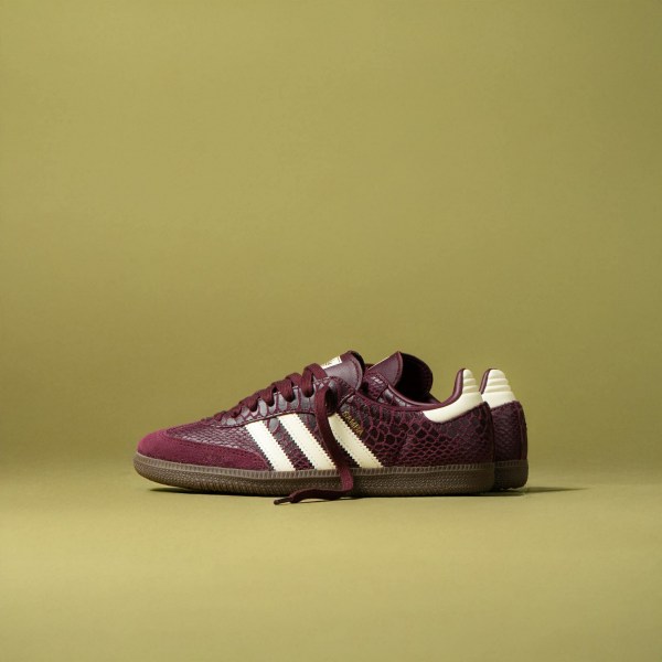 667069541_1685781536206811_4297473279235372055_n