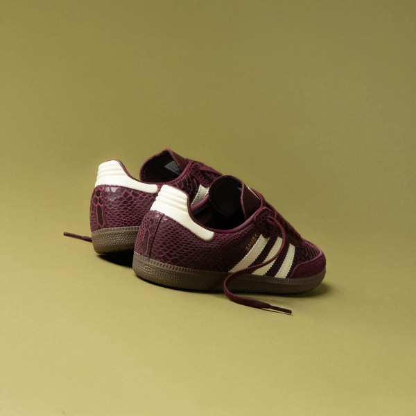 668361106_2203933107027780_8145020372923859564_n